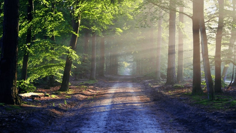 10 Ways to Improve Your Mental Health