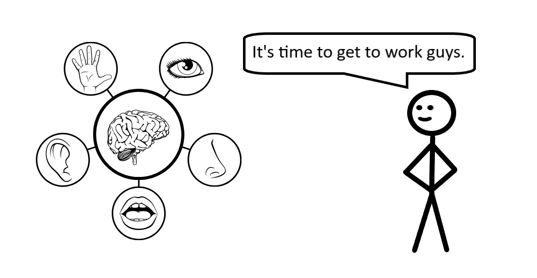 Engage your senses to be more present