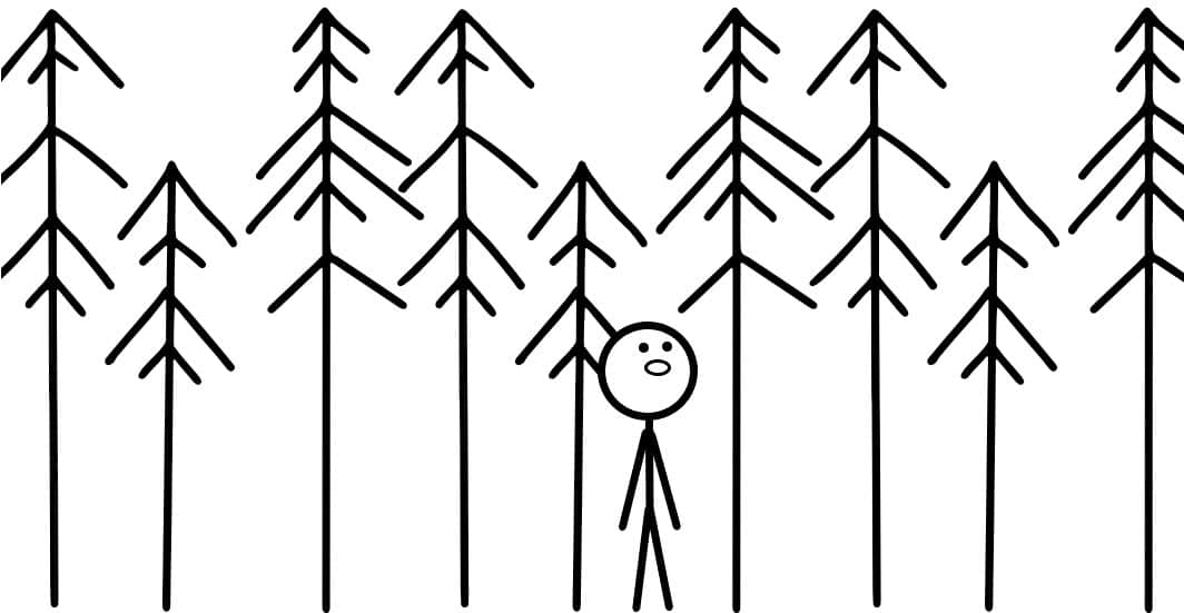 The Forest – A Short Story About Perspective